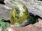 Polished Green Opal Standing Display Pieces x 5 From Betroka, Madagascar - Toprock Gemstones and Minerals 