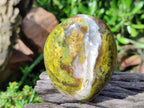 Polished Green Opal Standing Display Pieces x 5 From Betroka, Madagascar - Toprock Gemstones and Minerals 