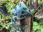 Polished XL Stromatolite Display Crystal Tower x 1 From Katsepy, Madagascar - Toprock Gemstones and Minerals 