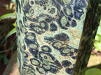 Polished XL Stromatolite Display Crystal Tower x 1 From Katsepy, Madagascar - Toprock Gemstones and Minerals 