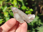 Natural Limonite Tinted Smokey Spirit Quartz Crystals and Clusters x 35 From Boekenhouthoek, South Africa - Toprock Gemstones and Minerals 