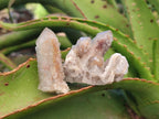 Natural Limonite Tinted Smokey Spirit Quartz Crystals and Clusters x 35 From Boekenhouthoek, South Africa - Toprock Gemstones and Minerals 