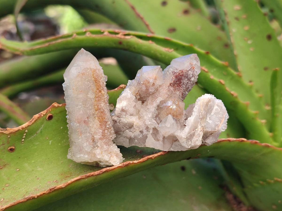 Natural Limonite Tinted Smokey Spirit Quartz Crystals and Clusters x 35 From Boekenhouthoek, South Africa - Toprock Gemstones and Minerals 