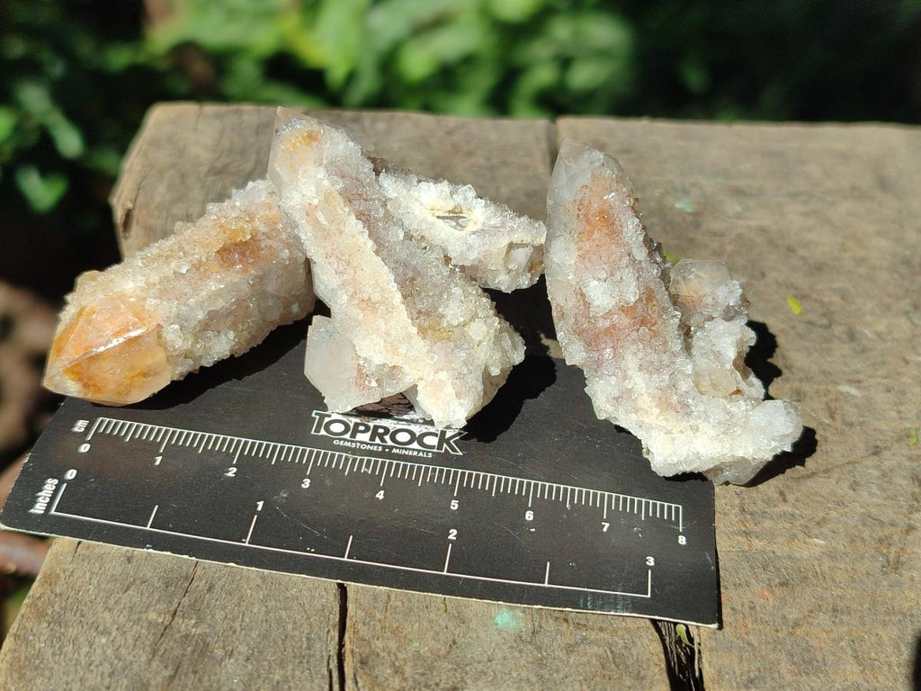 Natural Limonite Tinted Smokey Spirit Quartz Crystals and Clusters x 35 From Boekenhouthoek, South Africa - Toprock Gemstones and Minerals 