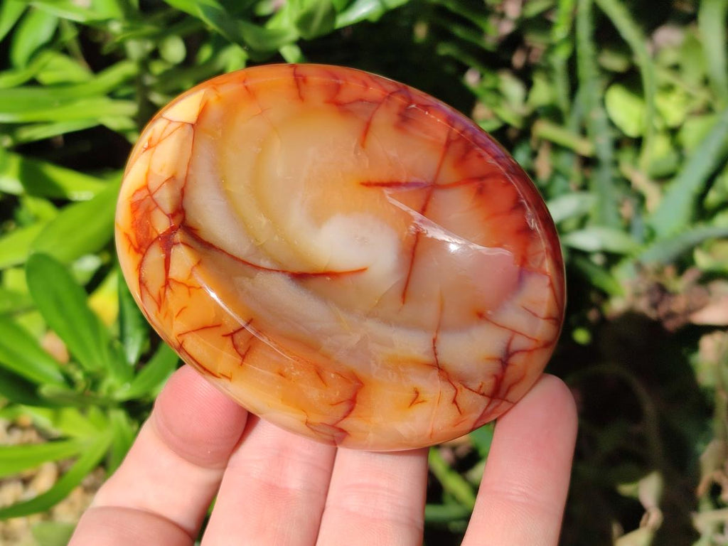 Polished Carnelian Agate Gemstone Bowls x 6 From Madagascar - Toprock Gemstones and Minerals 