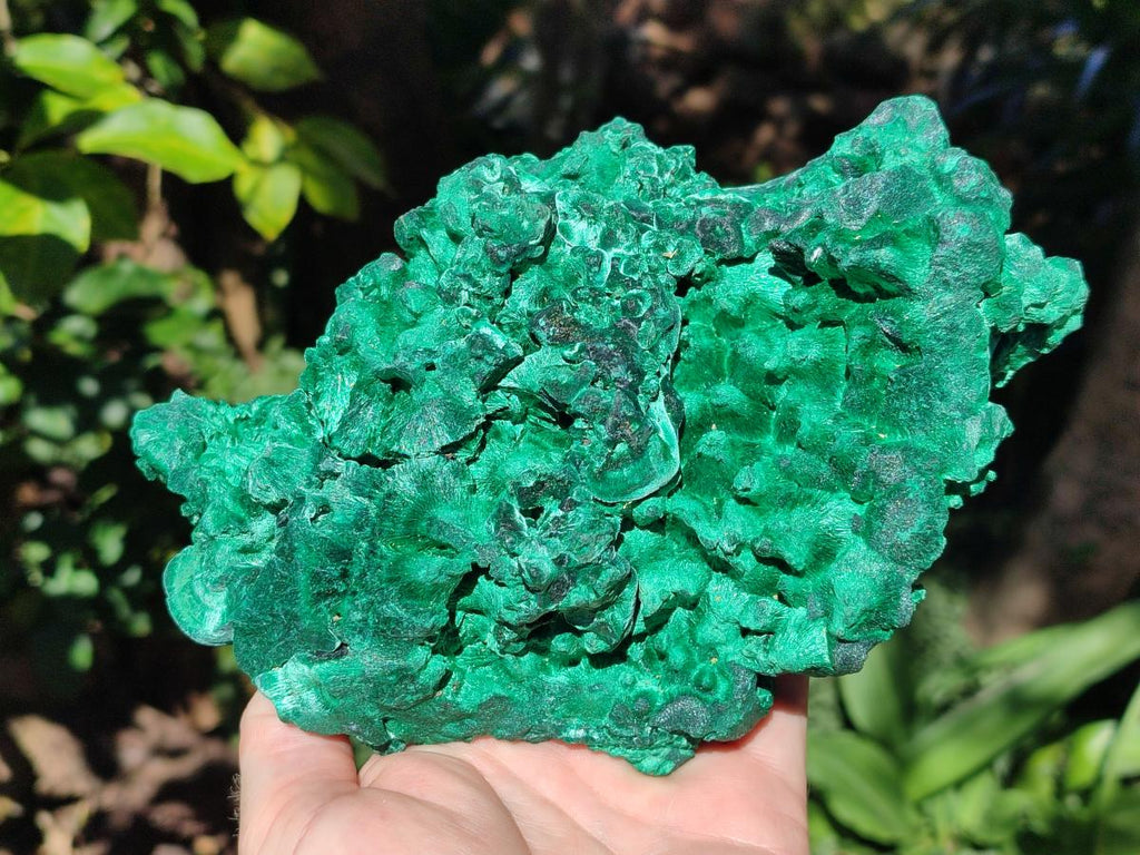 Natural XL Silky Malachite Specimen x 1 From Kasompe, Congo - Toprock Gemstones and Minerals 