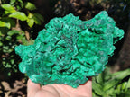 Natural XL Silky Malachite Specimen x 1 From Kasompe, Congo - Toprock Gemstones and Minerals 