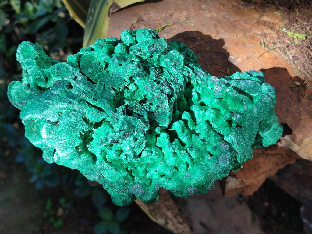 Natural XL Silky Malachite Specimen x 1 From Kasompe, Congo - Toprock Gemstones and Minerals 
