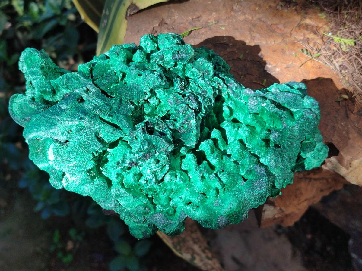 Natural XL Silky Malachite Specimen x 1 From Kasompe, Congo - Toprock Gemstones and Minerals 