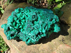 Natural XL Silky Malachite Specimen x 1 From Kasompe, Congo - Toprock Gemstones and Minerals 