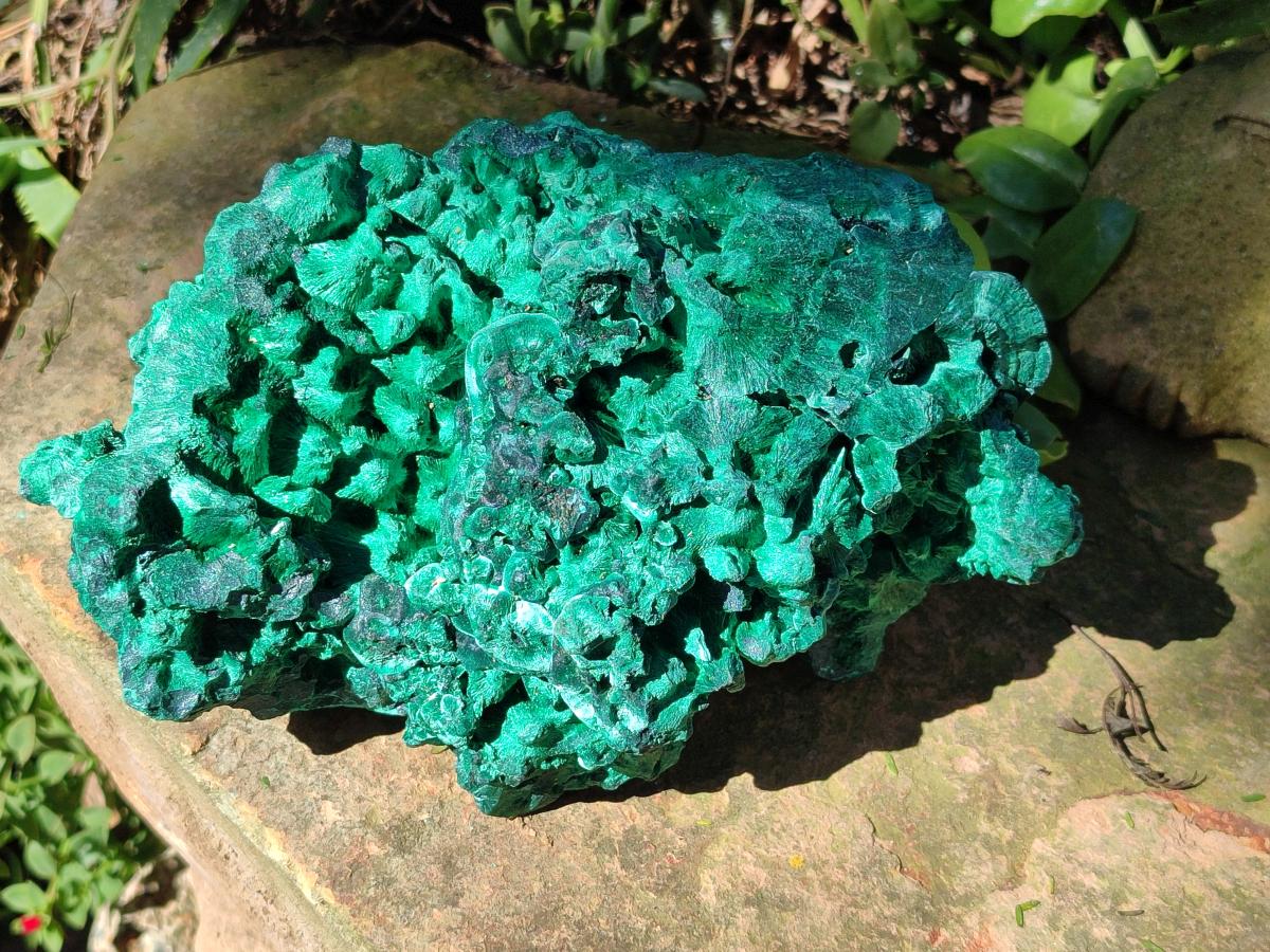 Natural XL Silky Malachite Specimen x 1 From Kasompe, Congo - Toprock Gemstones and Minerals 