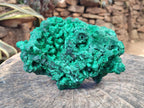 Natural XL Silky Malachite Specimen x 1 From Kasompe, Congo - Toprock Gemstones and Minerals 