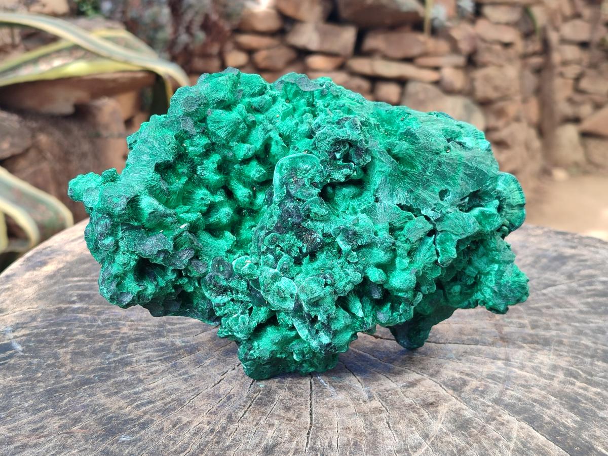 Natural XL Silky Malachite Specimen x 1 From Kasompe, Congo - Toprock Gemstones and Minerals 