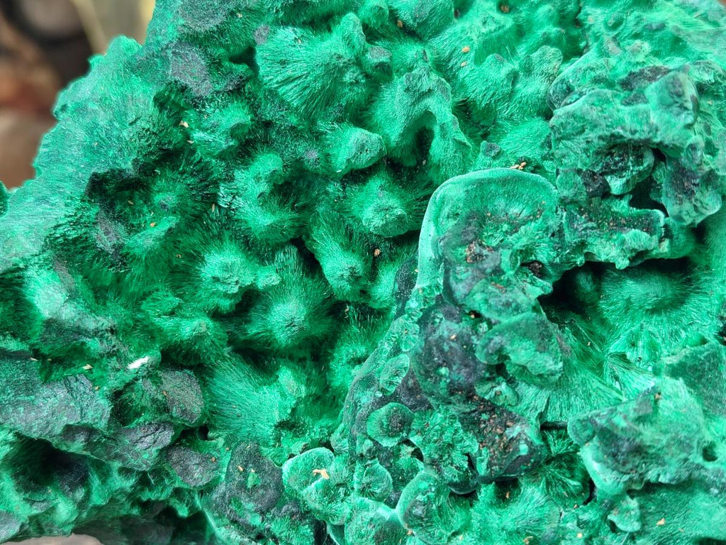 Natural XL Silky Malachite Specimen x 1 From Kasompe, Congo - Toprock Gemstones and Minerals 