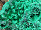 Natural XL Silky Malachite Specimen x 1 From Kasompe, Congo - Toprock Gemstones and Minerals 