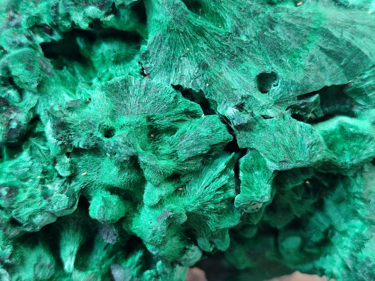 Natural XL Silky Malachite Specimen x 1 From Kasompe, Congo - Toprock Gemstones and Minerals 