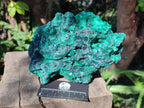 Natural XL Silky Malachite Specimen x 1 From Kasompe, Congo - Toprock Gemstones and Minerals 