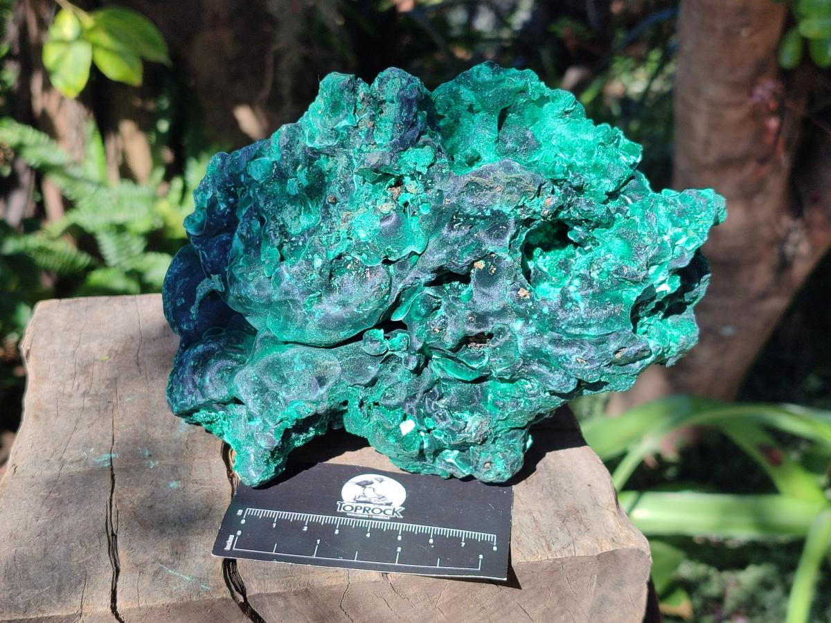 Natural XL Silky Malachite Specimen x 1 From Kasompe, Congo - Toprock Gemstones and Minerals 