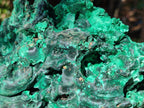 Natural XL Silky Malachite Specimen x 1 From Kasompe, Congo - Toprock Gemstones and Minerals 