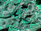 Natural XL Silky Malachite Specimen x 1 From Kasompe, Congo - Toprock Gemstones and Minerals 