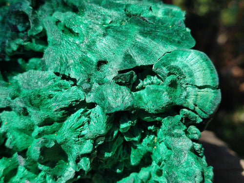 Natural XL Silky Malachite Specimen x 1 From Kasompe, Congo - Toprock Gemstones and Minerals 