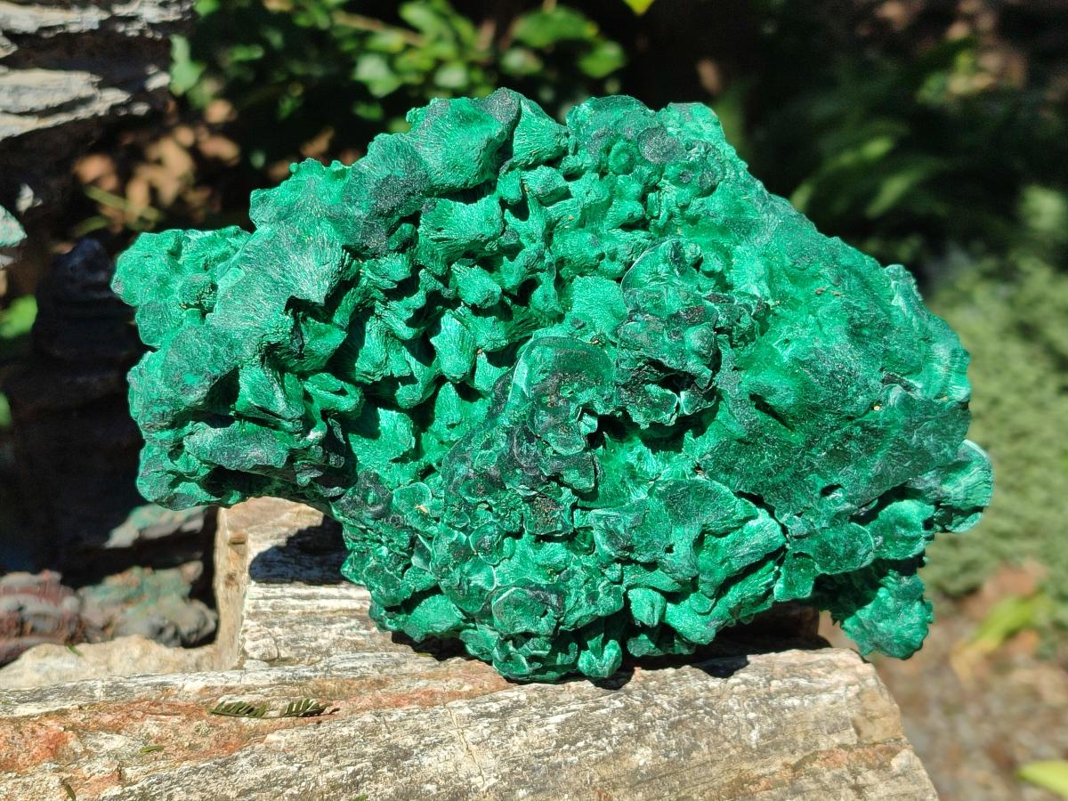 Natural XL Silky Malachite Specimen x 1 From Kasompe, Congo - Toprock Gemstones and Minerals 