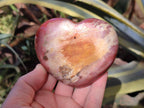 Polished Red Podocarpus Petrified Wood Hearts x 2 From Mahajanga, Madagascar - Toprock Gemstones and Minerals 