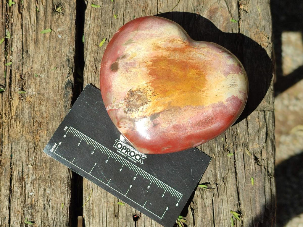 Polished Red Podocarpus Petrified Wood Hearts x 2 From Mahajanga, Madagascar - Toprock Gemstones and Minerals 