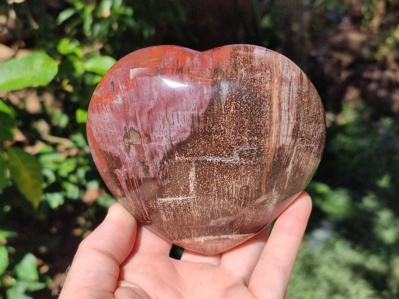 Polished Red Podocarpus Petrified Wood Hearts x 2 From Mahajanga, Madagascar - Toprock Gemstones and Minerals 