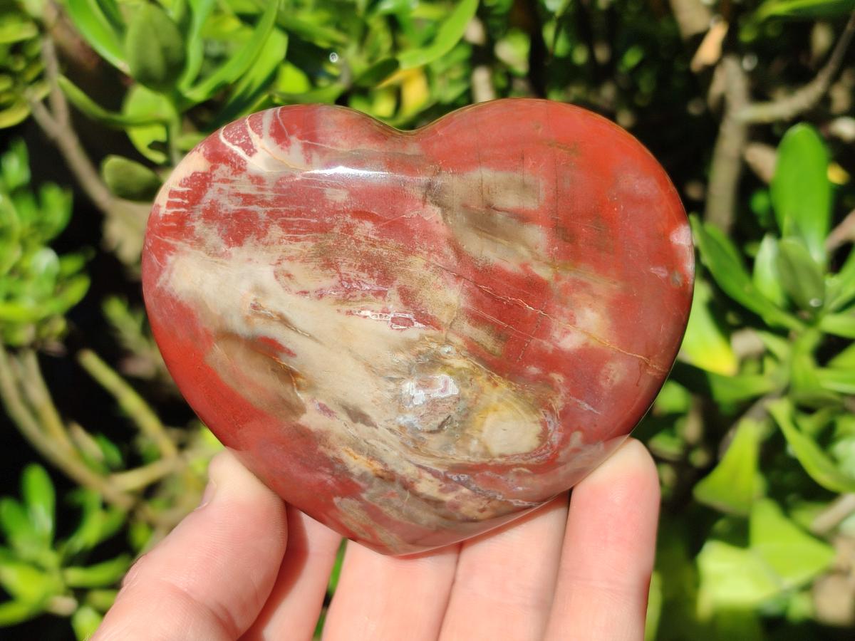 Polished Red Podocarpus Petrified Wood Hearts x 2 From Mahajanga, Madagascar - Toprock Gemstones and Minerals 