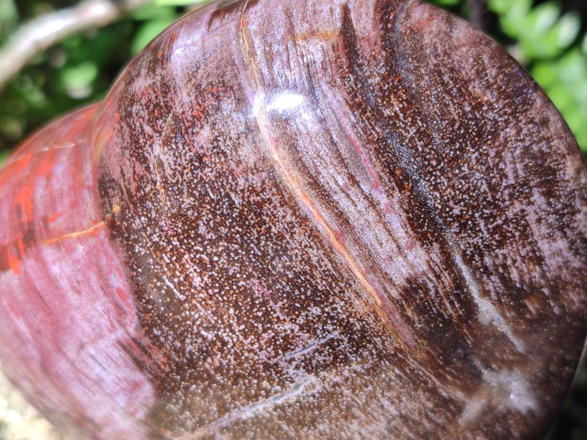 Polished Red Podocarpus Petrified Wood Hearts x 2 From Mahajanga, Madagascar - Toprock Gemstones and Minerals 