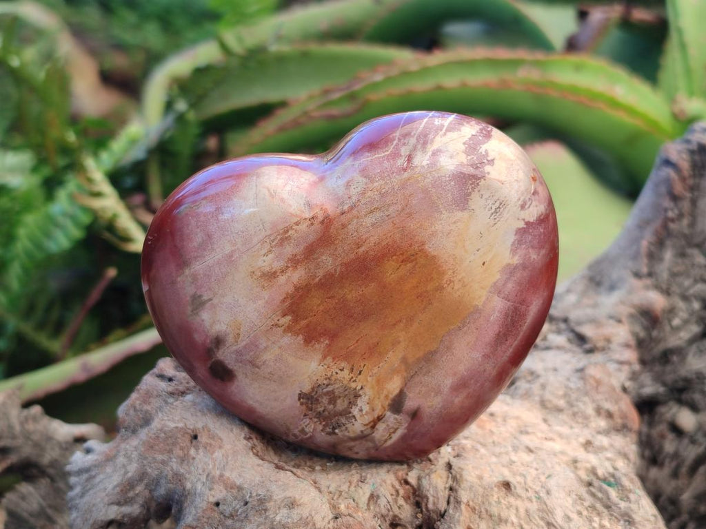 Polished Red Podocarpus Petrified Wood Hearts x 2 From Mahajanga, Madagascar - Toprock Gemstones and Minerals 