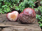 Polished Red Podocarpus Petrified Wood Hearts x 2 From Mahajanga, Madagascar - Toprock Gemstones and Minerals 