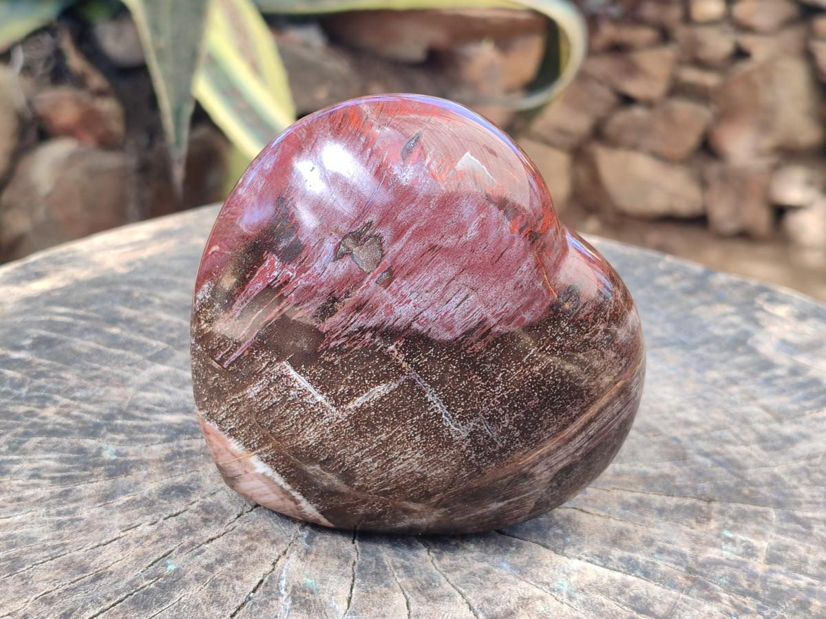 Polished Red Podocarpus Petrified Wood Hearts x 2 From Mahajanga, Madagascar - Toprock Gemstones and Minerals 