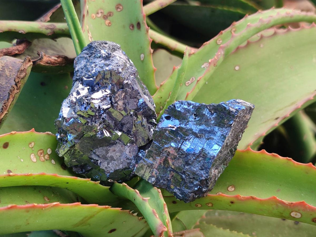 Natural Bright Silver Lead Galena Cobbed Specimens x 7 From Kaokoveld, Namibia - Toprock Gemstones and Minerals 