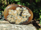 Polished Lemur Island Crystalline Geodes x 6 From Nosy Varika, Madagascar - Toprock Gemstones and Minerals 