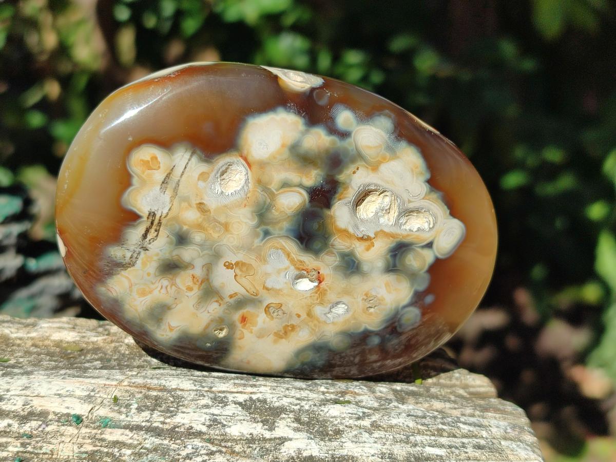 Polished Lemur Island Crystalline Geodes x 6 From Nosy Varika, Madagascar - Toprock Gemstones and Minerals 