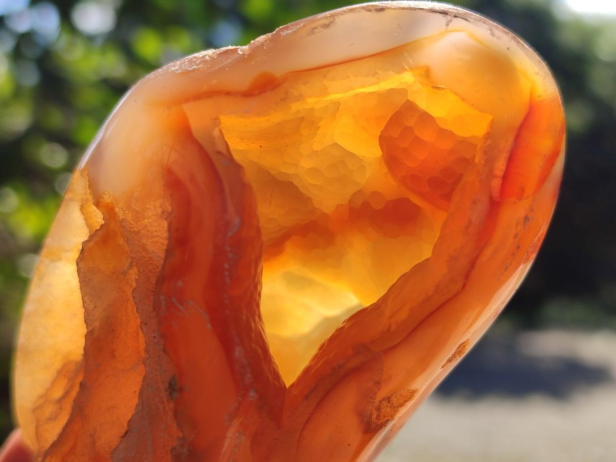 Polished Lemur Island Crystalline Geodes x 6 From Nosy Varika, Madagascar - Toprock Gemstones and Minerals 