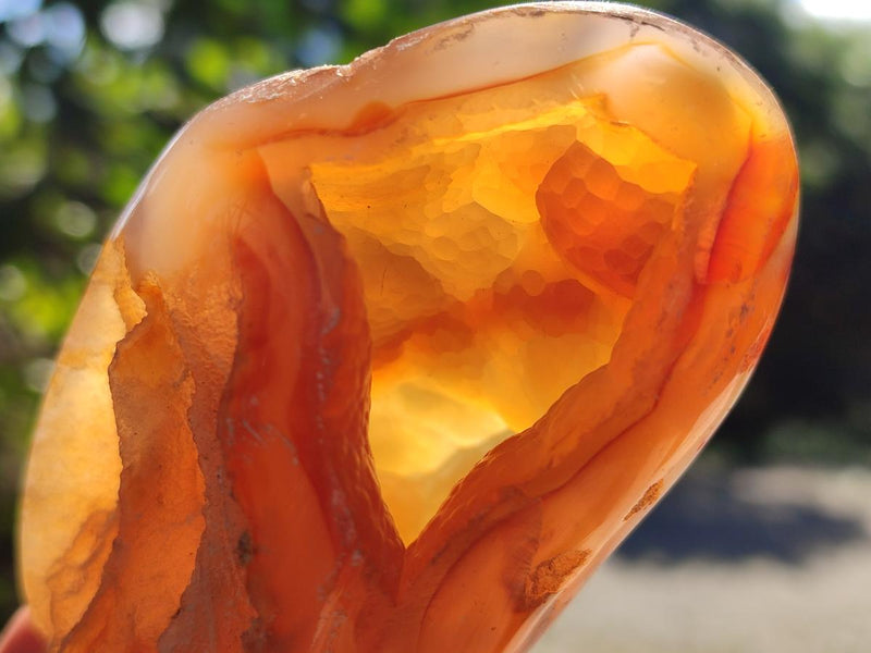 Polished Lemur Island Crystalline Geodes x 6 From Nosy Varika, Madagascar - Toprock Gemstones and Minerals 