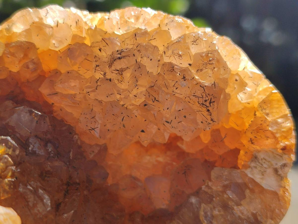 Polished Lemur Island Crystalline Geodes x 6 From Nosy Varika, Madagascar - Toprock Gemstones and Minerals 