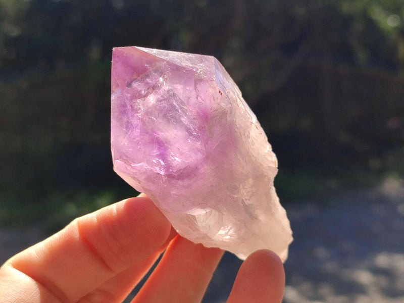 Natural Jacaranda Amethyst Single Crystals x 12 From Mumbwa, Zambia - Toprock Gemstones and Minerals 