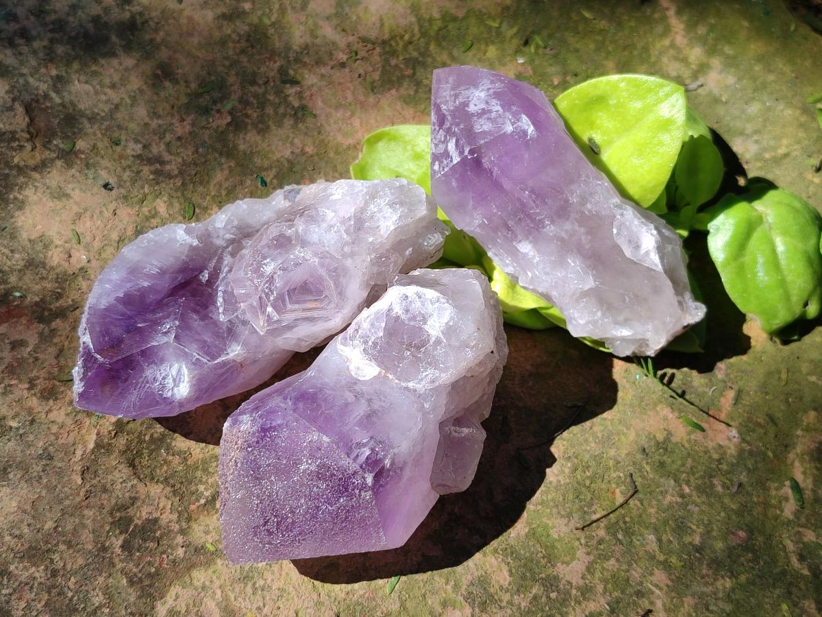 Natural Jacaranda Amethyst Single Crystals x 12 From Mumbwa, Zambia - Toprock Gemstones and Minerals 