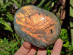 Polished Rare Purple Sunset Flash Labradorite Standing Display Pieces x 4 From Madagascar - Toprock Gemstones and Minerals 