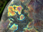 Polished Rare Purple Sunset Flash Labradorite Standing Display Pieces x 4 From Madagascar - Toprock Gemstones and Minerals 