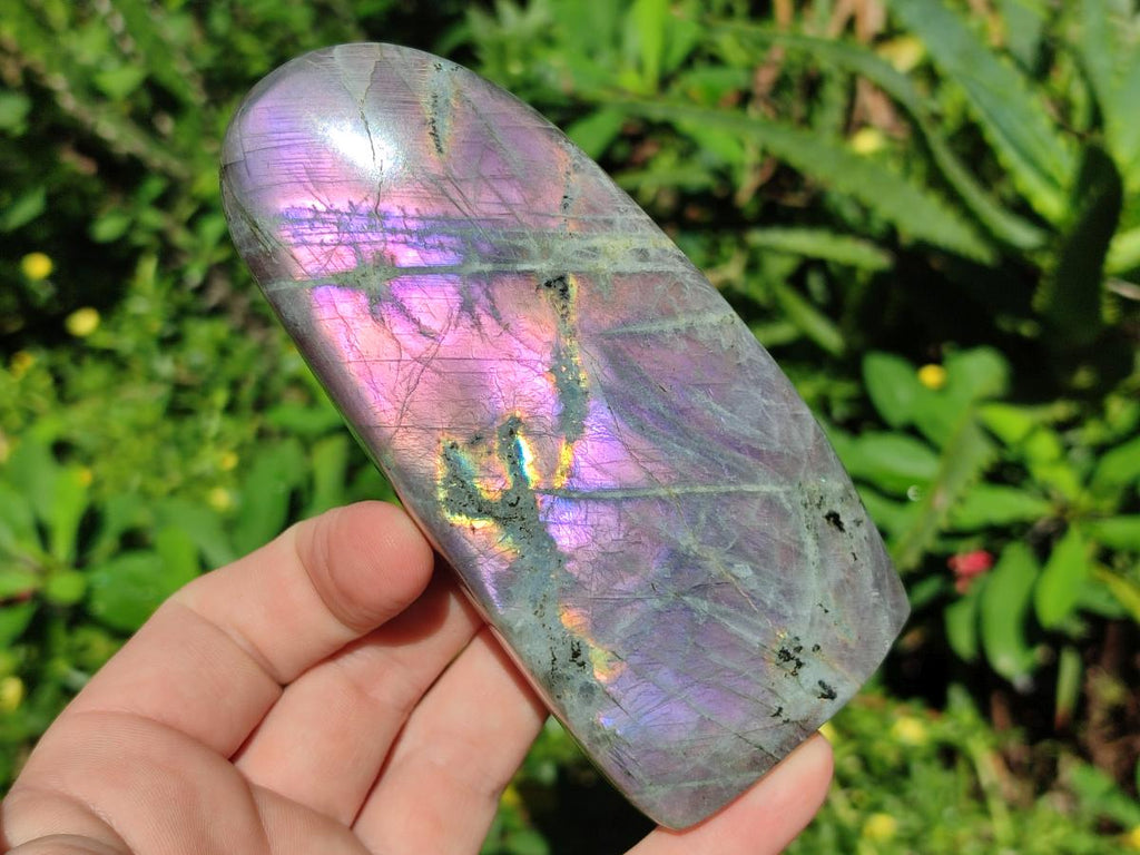 Polished Rare Purple Sunset Flash Labradorite Standing Display Pieces x 4 From Madagascar - Toprock Gemstones and Minerals 