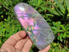 Polished Rare Purple Sunset Flash Labradorite Standing Display Pieces x 4 From Madagascar - Toprock Gemstones and Minerals 