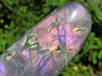 Polished Rare Purple Sunset Flash Labradorite Standing Display Pieces x 4 From Madagascar - Toprock Gemstones and Minerals 