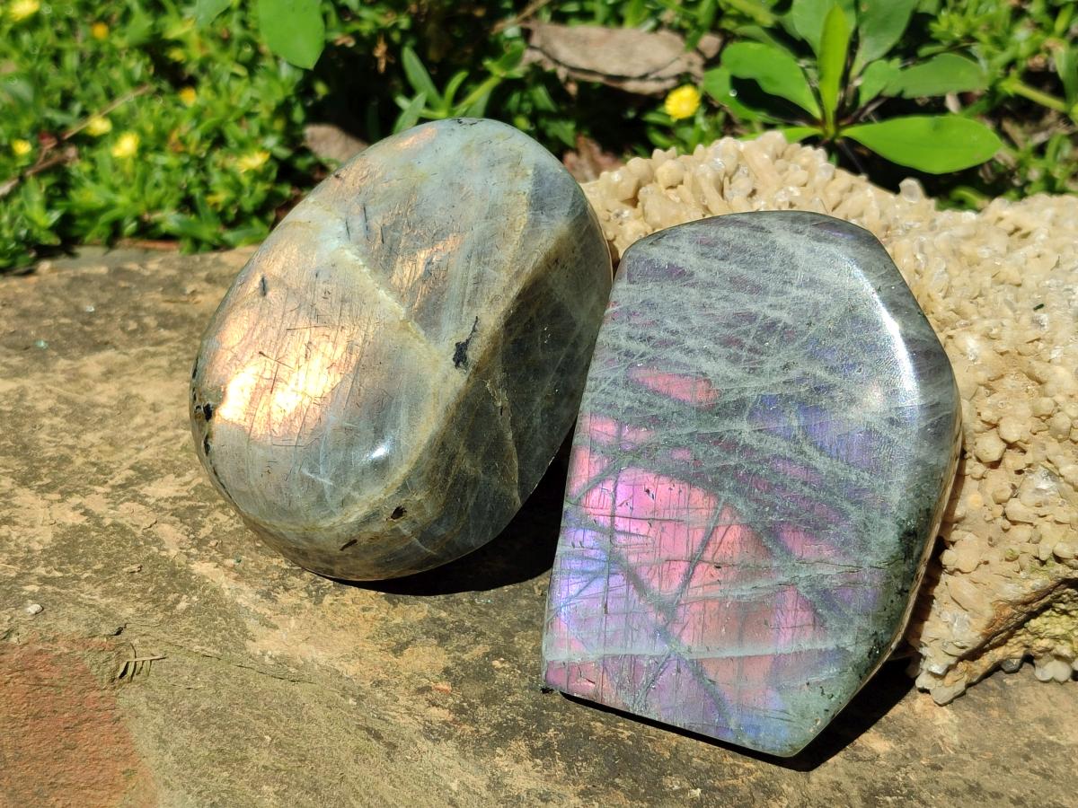 Polished Rare Purple Sunset Flash Labradorite Standing Display Pieces x 4 From Madagascar - Toprock Gemstones and Minerals 