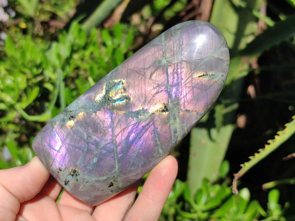 Polished Rare Purple Sunset Flash Labradorite Standing Display Pieces x 4 From Madagascar - Toprock Gemstones and Minerals 