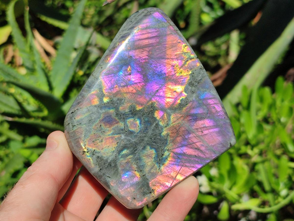 Polished Rare Purple Sunset Flash Labradorite Standing Display Pieces x 4 From Madagascar - Toprock Gemstones and Minerals 